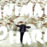 lupe_fiasco_animal_pharm